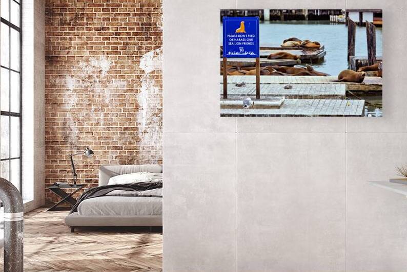 Sea lions resting at Pier 39 in San Francisco bay by Marco Brivio